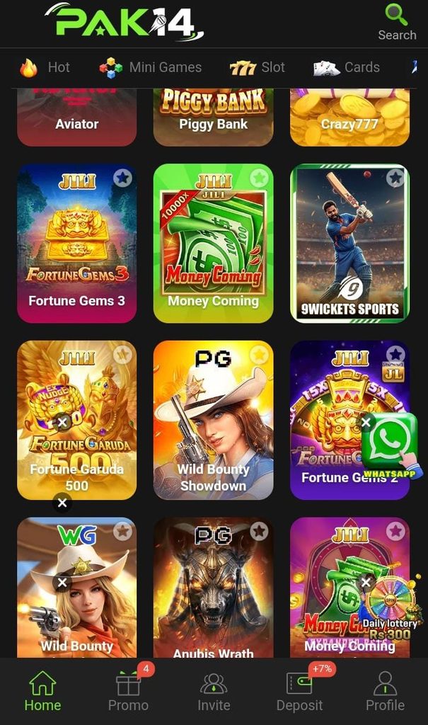 Pak14 Game